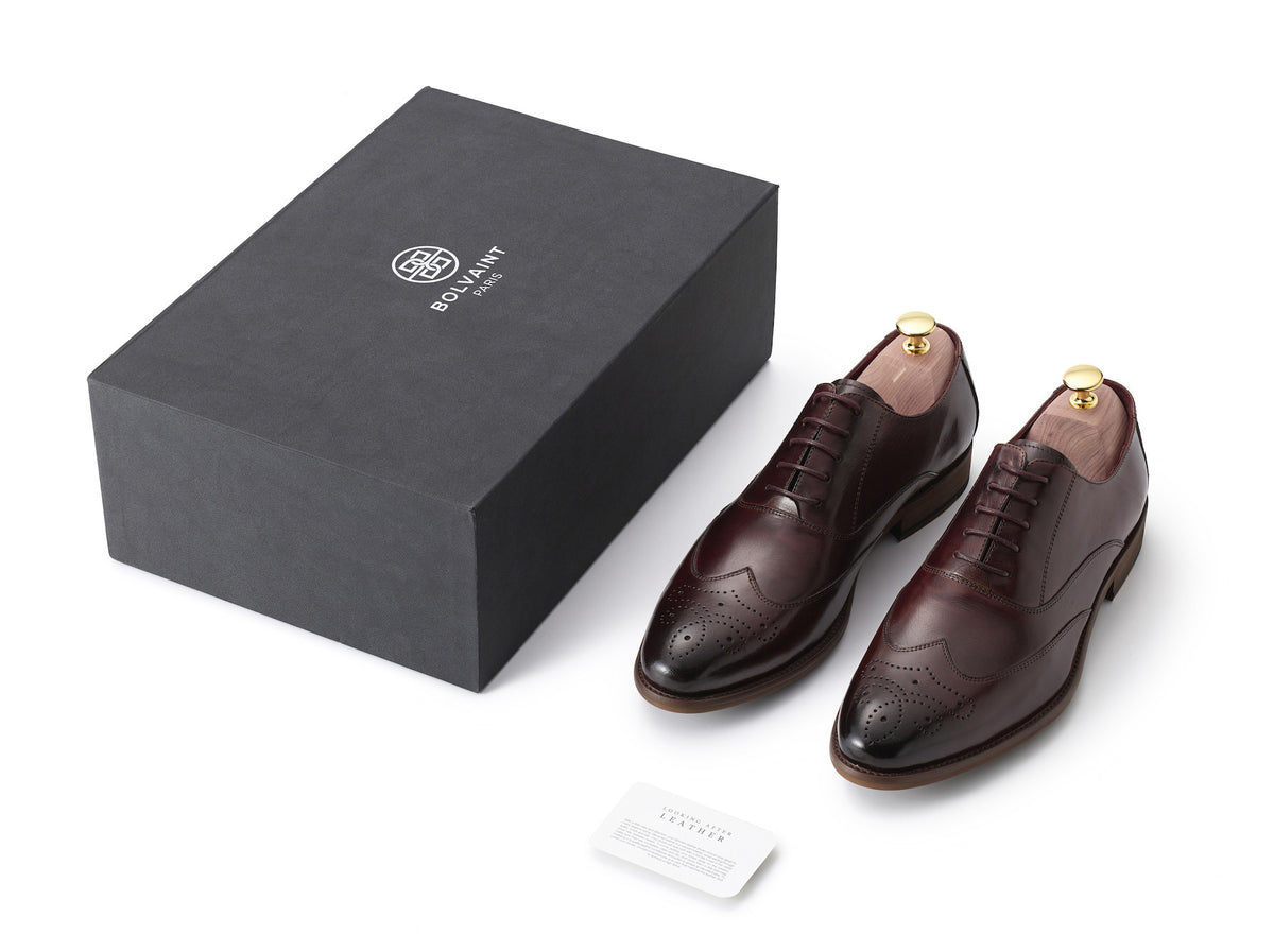 The Verrocchio Dress Shoe in Burgundy